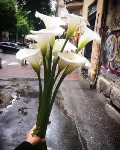 Buket Kala - Prodaja cveca Dragica Dorcol Beograd - Cvecara Dorcol