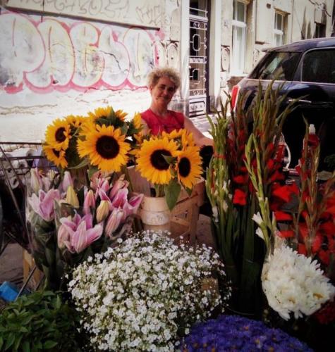 Cvece Dorcol