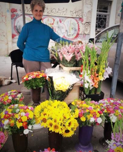 Cvece Dorcol