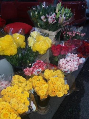 Cvece Dorcol